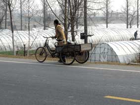Dreirad mit Frau Wuhan